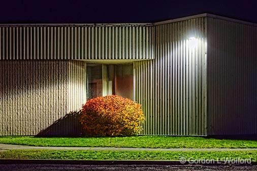 Red Bush At Night_29980-91.jpg - Photographed at Smiths Falls, Ontario, Canada.